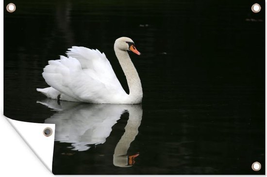 Affiche de jardin Gracieux nageur 120x80 cm - Toile de jardin / Toile d'extérieur / Peintures d'extérieur (décoration de jardin)