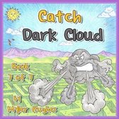 Catch Dark Cloud