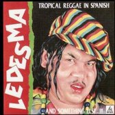 Tropical Reggae in Spanish