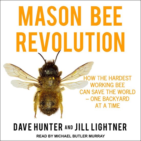 Mason Bee Revolution - cover