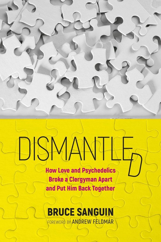 Dismantled: How Love and Psychedelics Broke a Clergyman Apar ... - cover