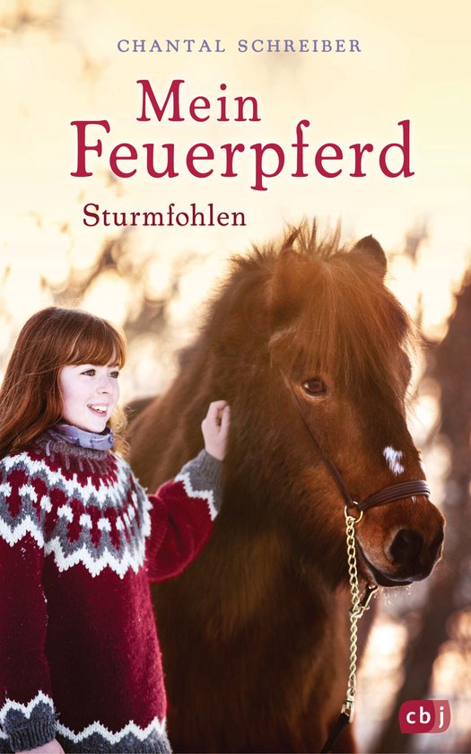 Die Mein Feuerpferd-Reihe 2 - Mein Feuerpferd - Sturmfohlen - cover