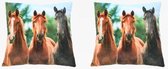 2x Sierkussens met paarden print 35 cm - Dieren kussentjes met paarden opdruk 35 cm