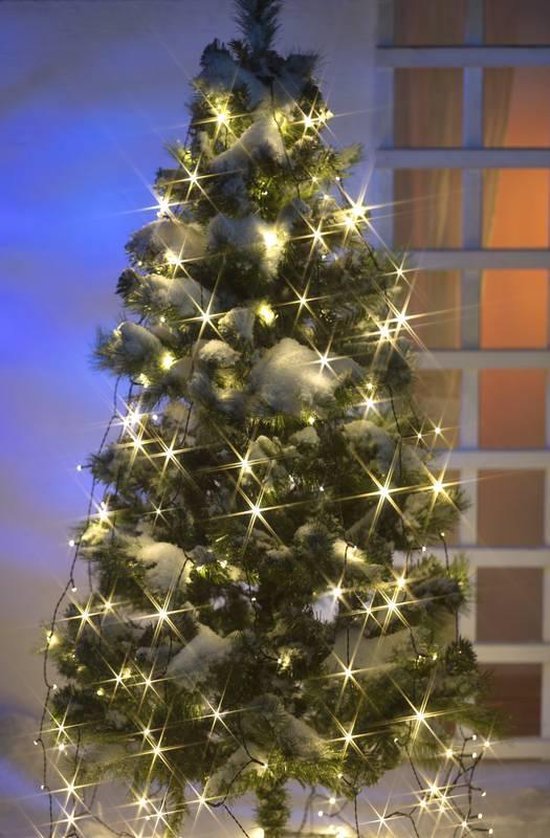 Kerstverlichting lichtsnoer 160 LEDs voor binnen en buiten gebruik