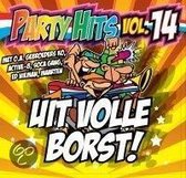 Party Hits Vol. 14