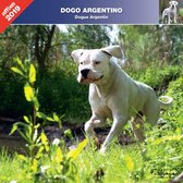 Argentijnse Dog Kalender 2024