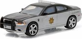 Dodge Charger Colorado State Patrol Police