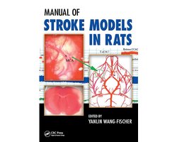 Manual of Stroke Models in Rats