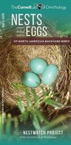 Nests and Eggs of North American Backyard Birds