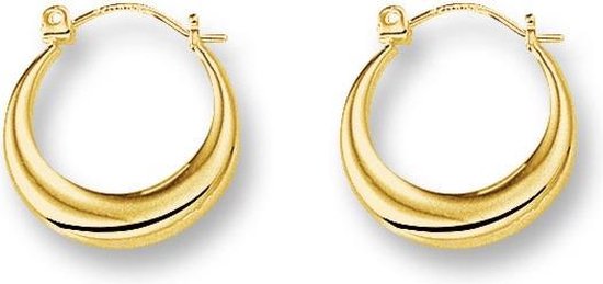 Huiscollectie 4012367 Gouden oorringen 15 mm | bol.com