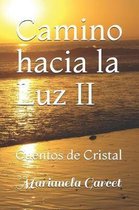 Camino Hacia La Luz II