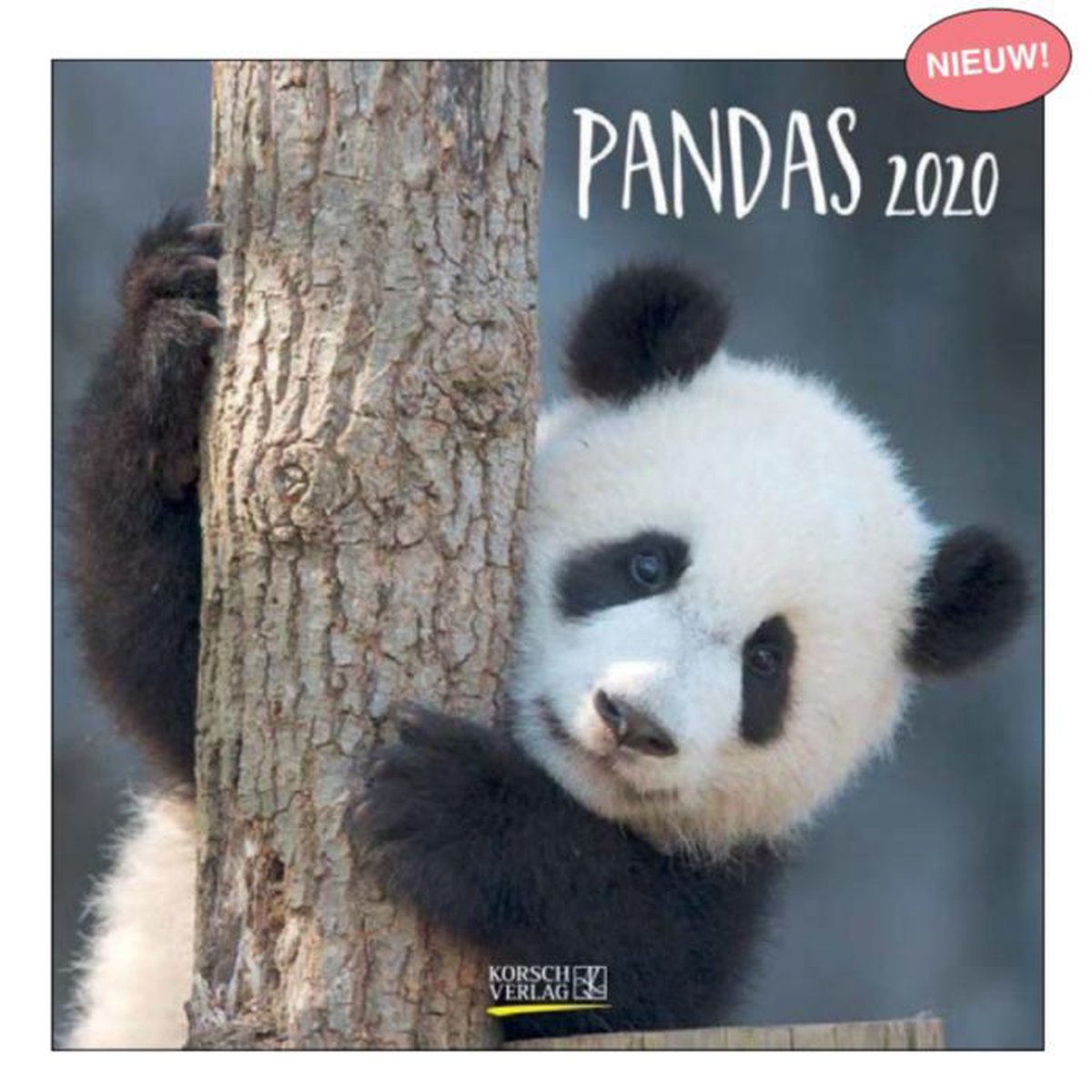 Kalender 2020 Panda's (30 x 30)
