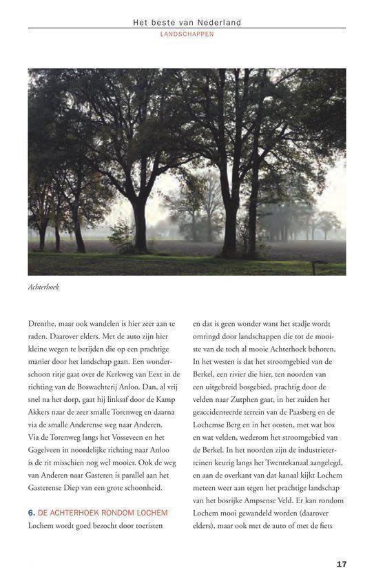 Landschap met hoge bomen, een pad en een bosje op een heuvel.