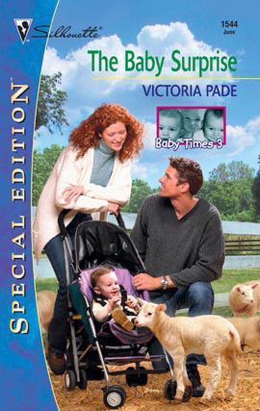 The Baby Surprise - cover
