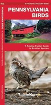 Pennsylvania Birds