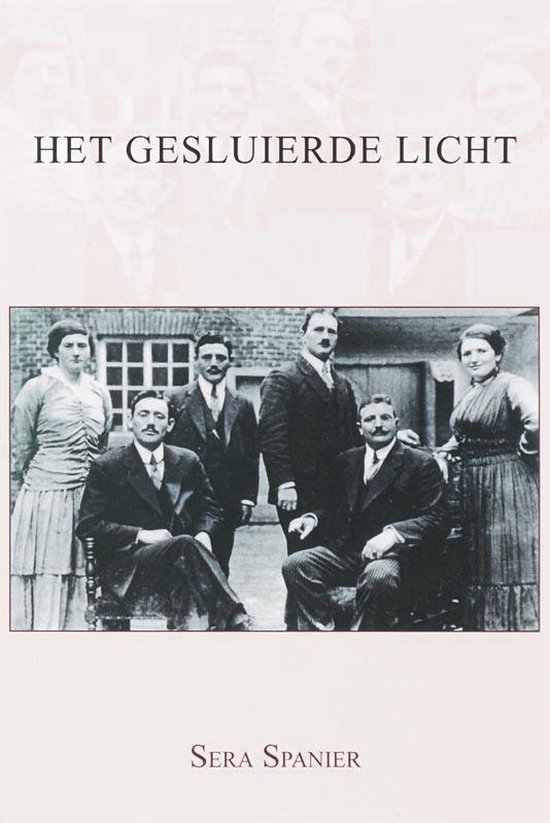Cover van het boek 'Het gesluierde licht' van S. Spanier