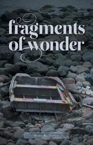 Fragments of Wonder