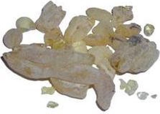 Wierookhars Sandarak (Marokko)