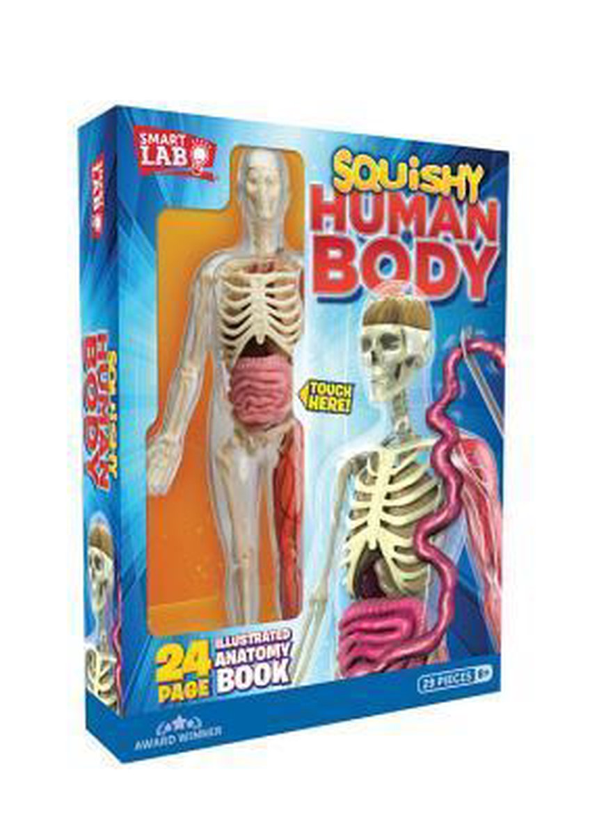 squishy human body Deals Squishy Human Body from SmartLab Toys YouTube