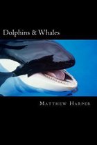 Dolphins & Whales: A Fascinating Book Containing Dolphin & Whale Facts, Trivia, Images & Memory Recall Quiz