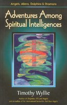 Adventures Among Spiritual Intelligences