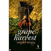 Grape Harvest