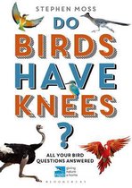 Do Birds Have Knees