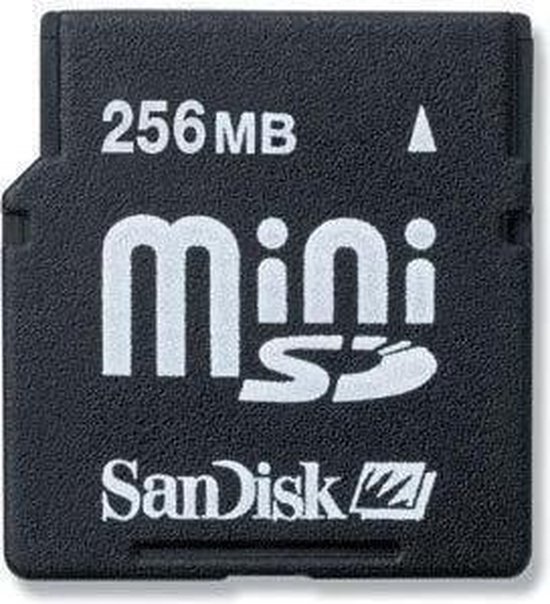 overeenkomst contant geld ik zal sterk zijn SanDisk mini SD card 256 MB - geheugenkaart | bol.com