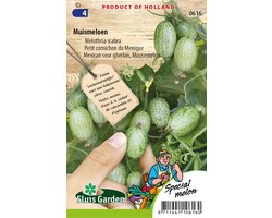 Sluis Garden - Muismeloen (Melothria scabra)