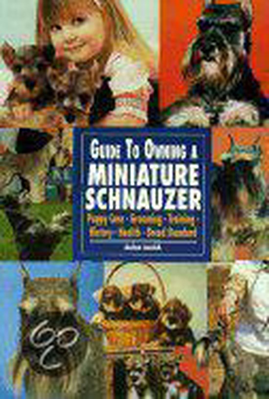 Guide To Owning A Miniature Schnauzer
