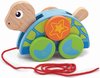 foto van Trekdier - Schildpad