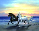 Dielay - Diamond Painting Pakket - Paarden op het Strand - 40x30 cm - Complete Set - Volledige Bedekking