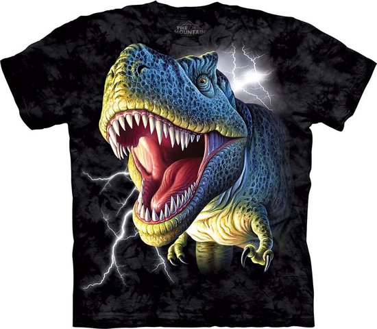 Dinosaurus kleding - T-shirt - Lightning Rex - maat 128
