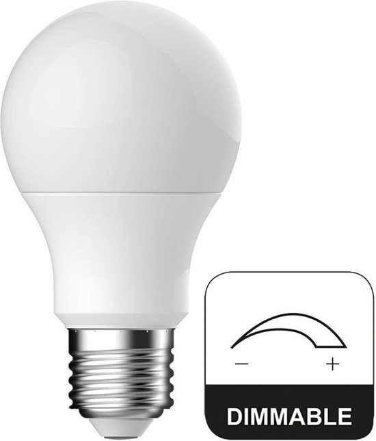 Standaard LED lamp E27 6W Mat Dim