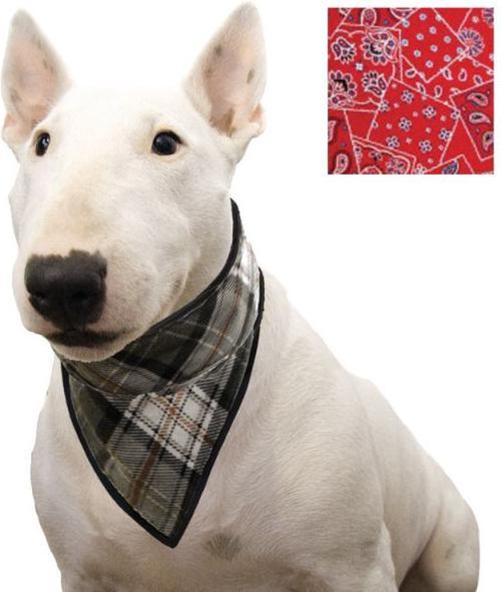 Bandana Aqua Coolkeeper Red Western - S