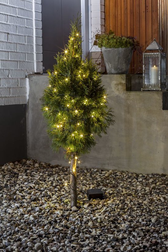 Kegelvormige conifeer buiten, verlicht door een lichtsnoer met warmwitte micro-leds.