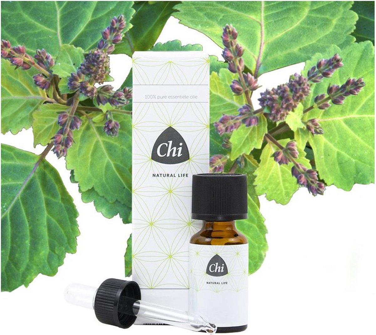 Goedkoopste Chi Patchouli Cultivar - 10 ml - Etherische Olie