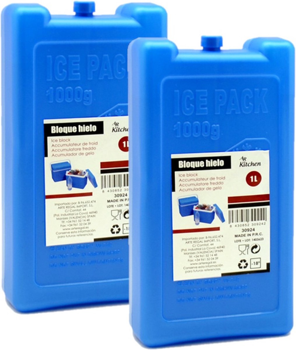 Arte R Koelelementen - 4x - groot blok - 1000 ml - 11 x 5 x 22 cm - blauw - voor koeltas en koelbox
