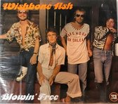 Wishbone Ash - Blowin Free (2 CD)