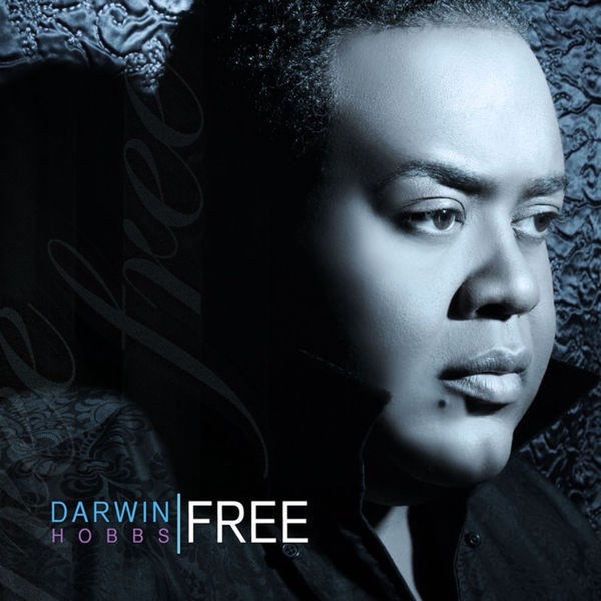 Darwin Hobbs - Free (CD)