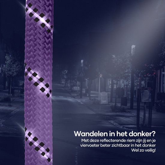 Paarse, reflecterende hondenriem met zwarte ruitjes op donkere straat.