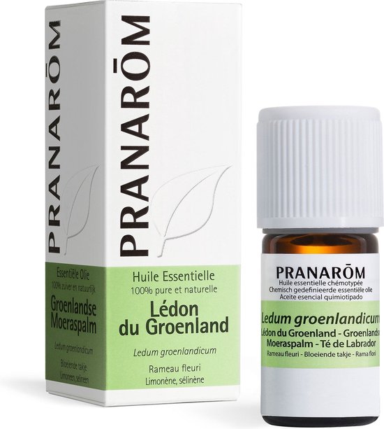 Pranarôm Etherische olie Ledon uit Groenland 5