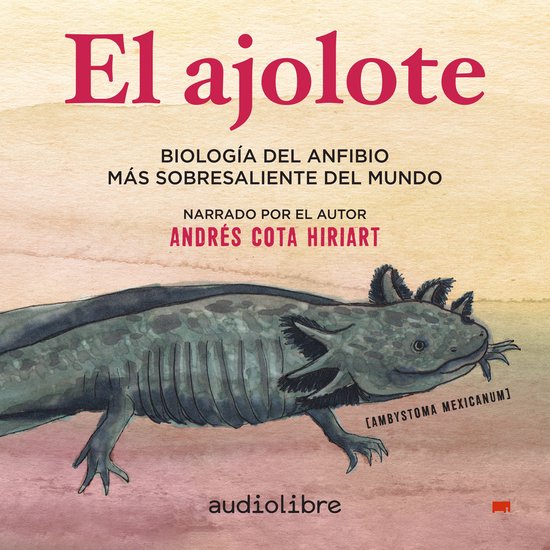 El ajolote - cover