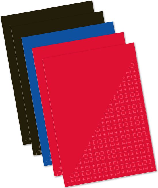 Kangaro Ruitjesschriften - 10x stuks - wiskunde schriften - A4 - gekleurd - schoolschrift