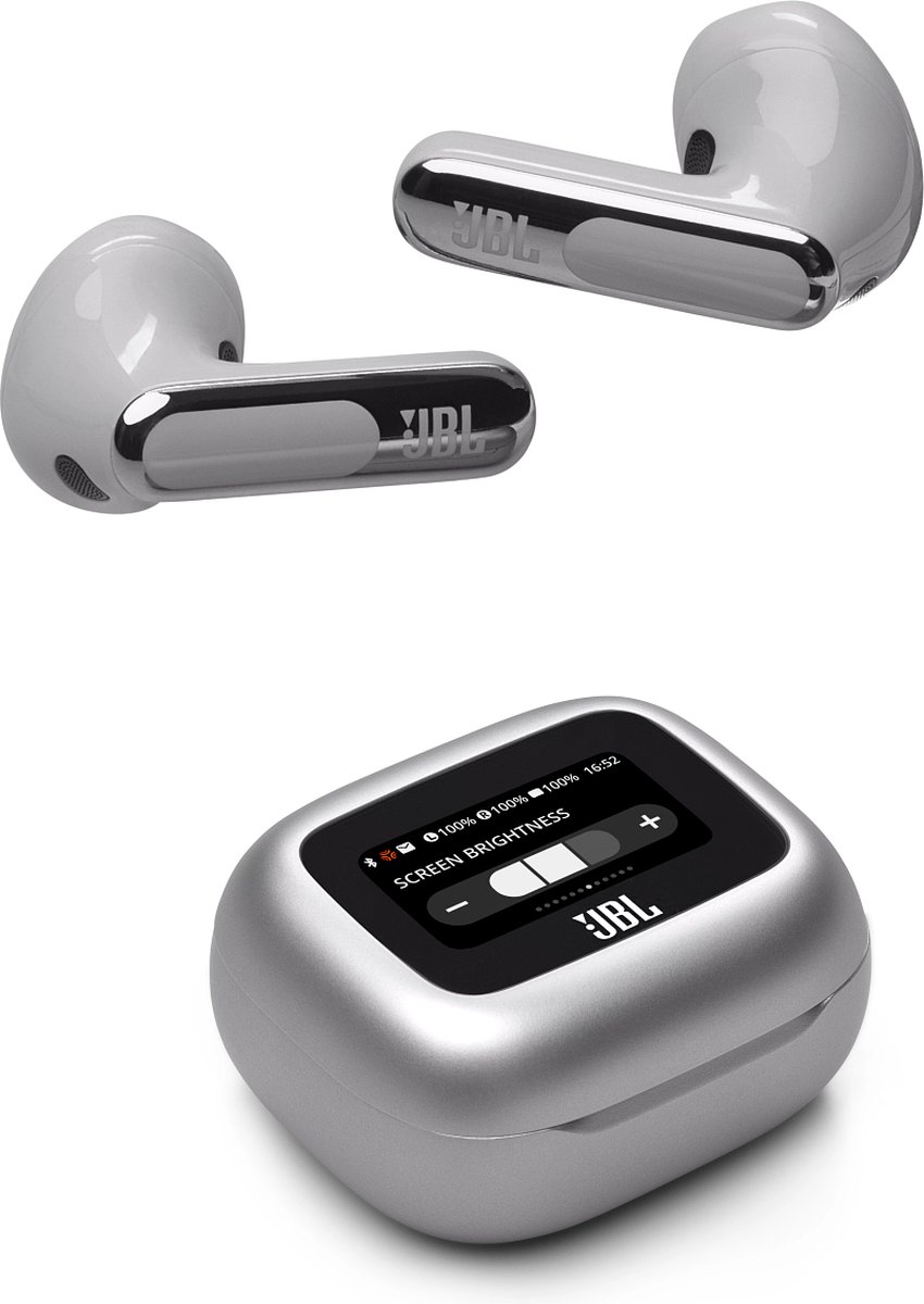 JBL Live Flex 3 Oordopjes Zilver
