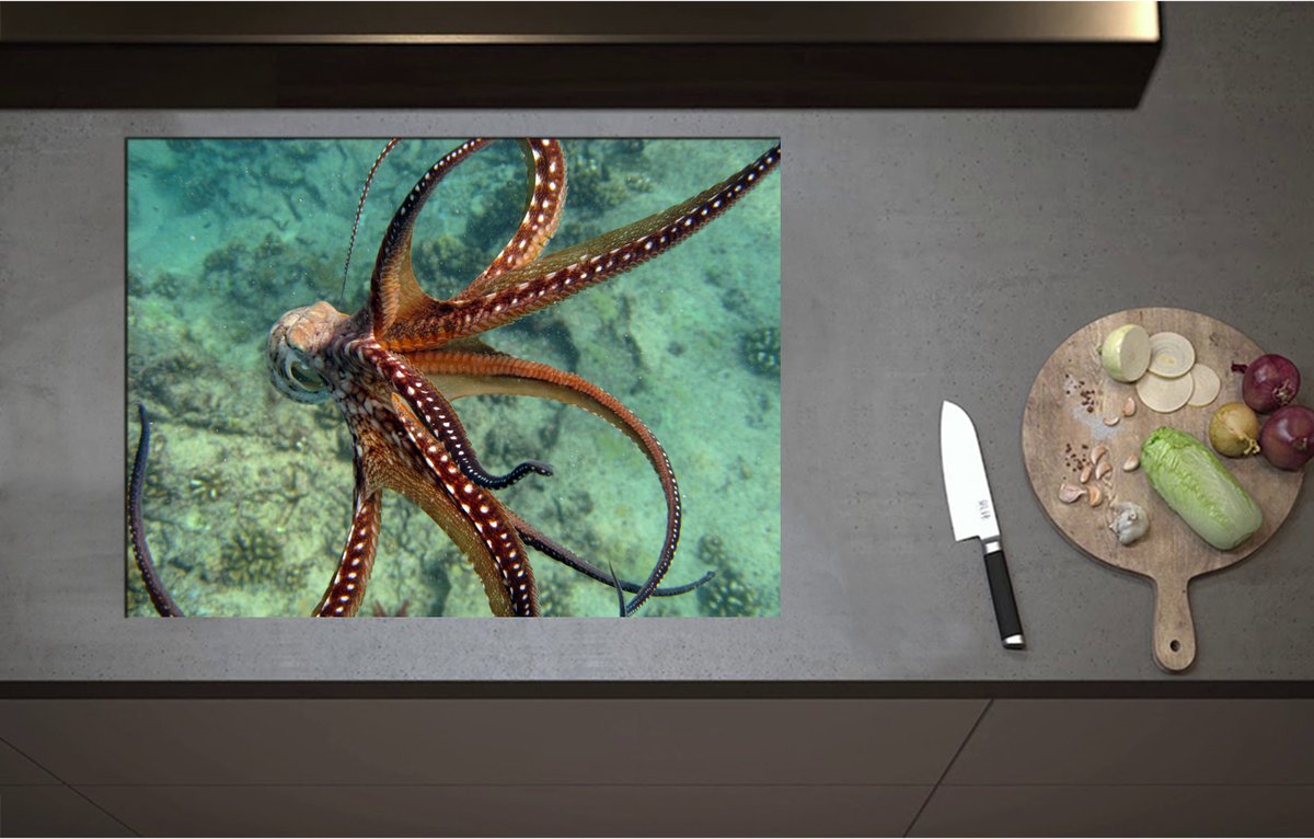Inductieplaat Beschermer - Bruine octopus zwemt door de zee heen - 75x55 cm - 2 mm Dik - Inductie Beschermer - Bescherming Inductiekookplaat - Kookplaat Beschermer van Zwart Vinyl