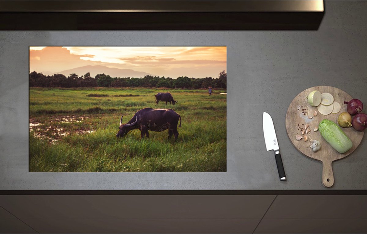 Inductieplaat Beschermer - Buffels Grazend in het Landschap - 80x52 cm - 2 mm Dik - Inductie Beschermer - Bescherming Inductiekookplaat - Kookplaat Beschermer van Zwart Vinyl