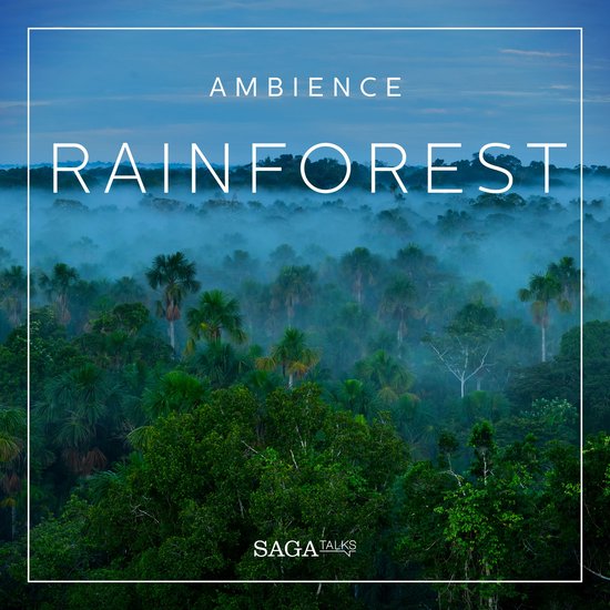 Ambience - Rainforest - cover