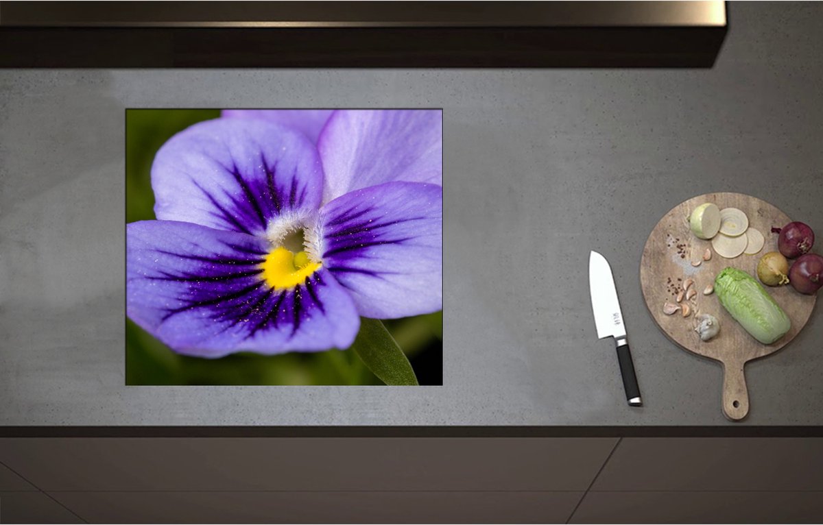 Inductieplaat Beschermer - Close Up van Paars Viooltje met Fel Geel Midden - Bloemen - 58x51 cm - 2 mm Dik - Inductie Beschermer - Bescherming Inductiekookplaat - Kookplaat Beschermer van Wit Vinyl