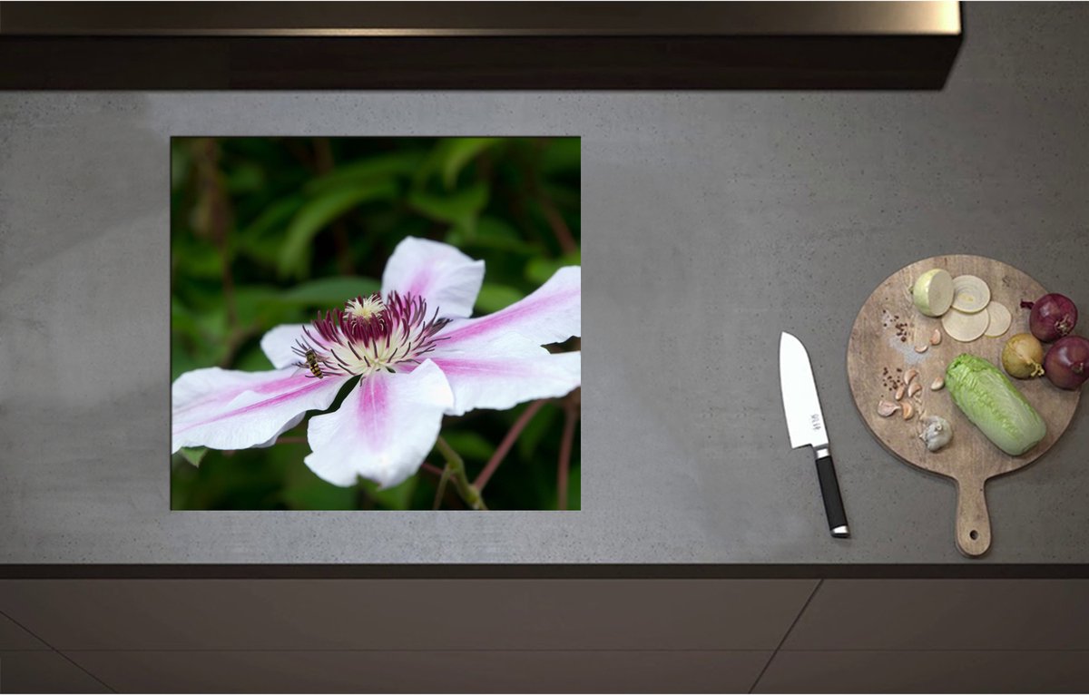 Inductieplaat Beschermer - Clematis Flordie Bloemen in het Wit met Paarse Details - 57x52 cm - 2 mm Dik - Inductie Beschermer - Bescherming Inductiekookplaat - Kookplaat Beschermer van Wit Vinyl